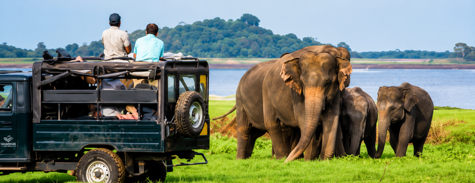Safari,Minneriya National Park