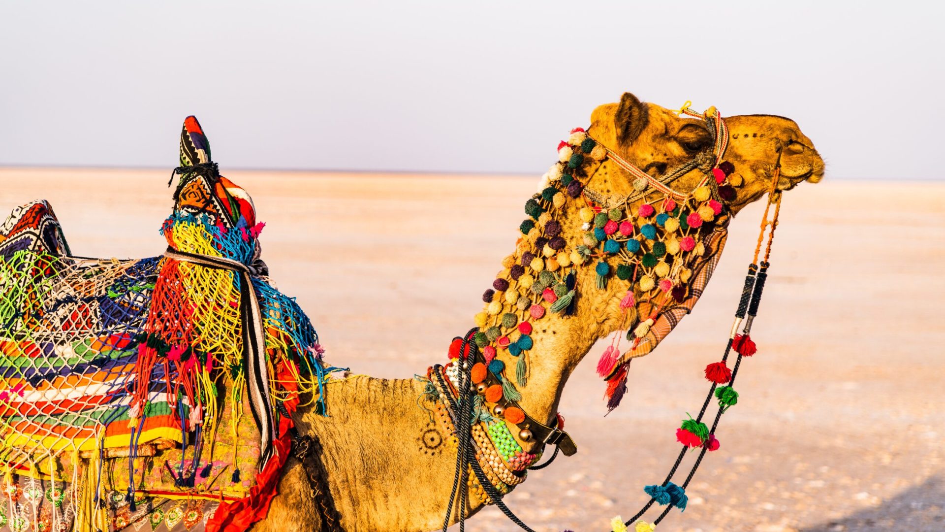 hari-nandakumar-5U132F-itpg-unsplash